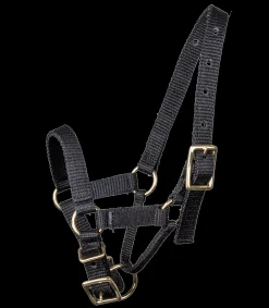 Waldhausen Alpaka Halfter schwarz Online