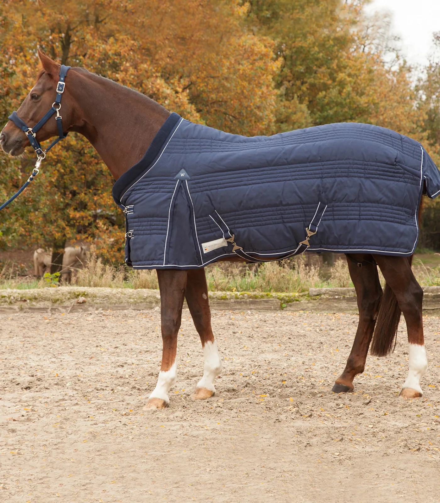 Waldhausen COMFORT Stalldecke, 300 g nachtblau New