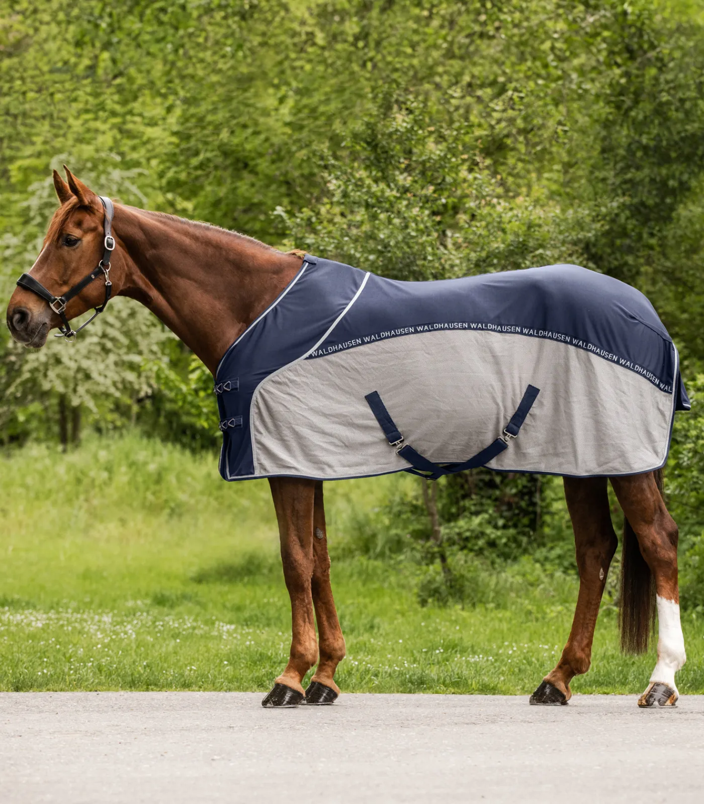 Waldhausen Cooler Fliegen-Sommerdecke Outlet