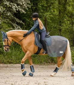Waldhausen Dressurgamasche Pegasus kreideblau