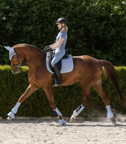 Waldhausen Dressurgamasche Rimini Discount