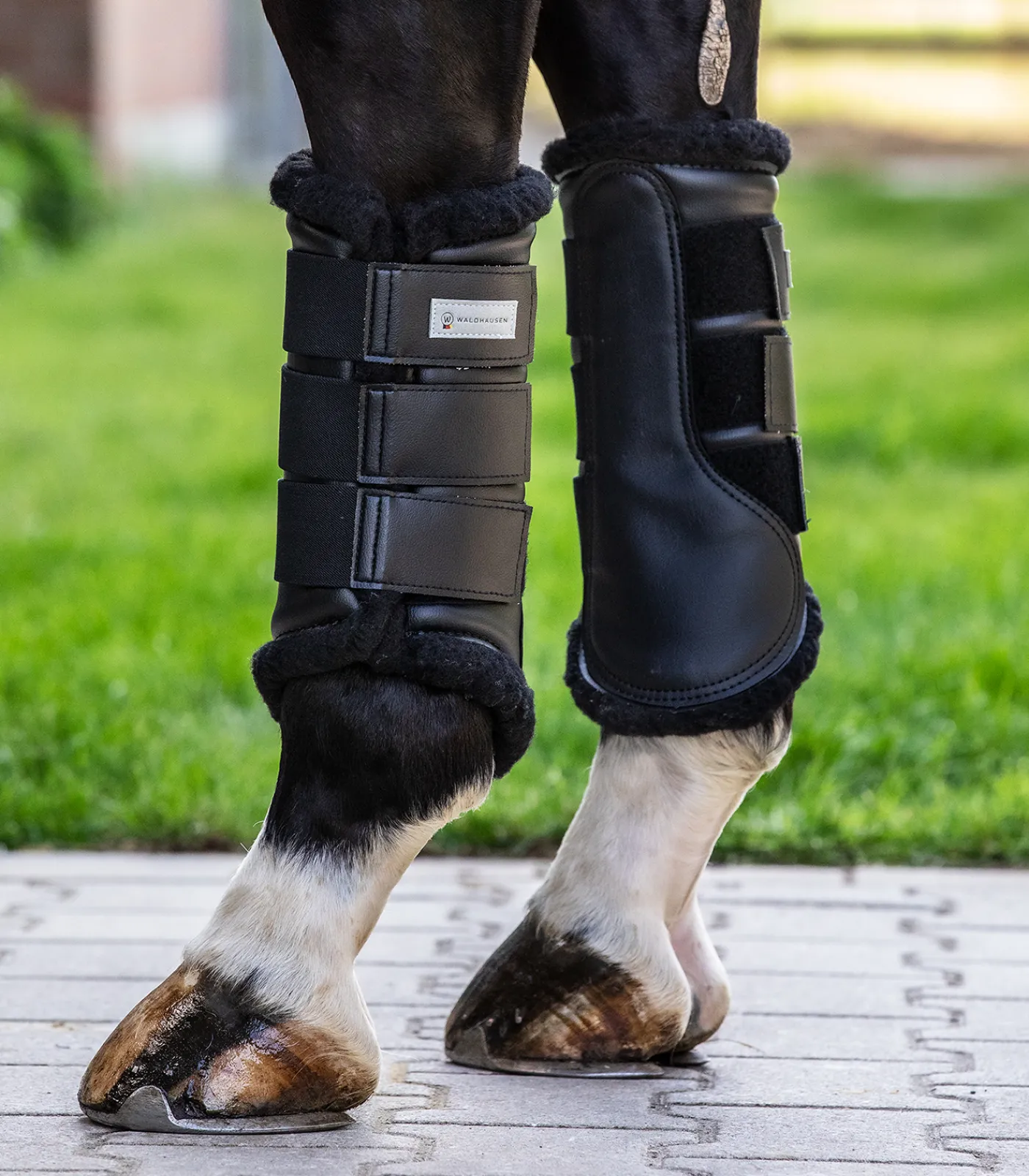 Waldhausen Dressurgamasche Soft Outlet