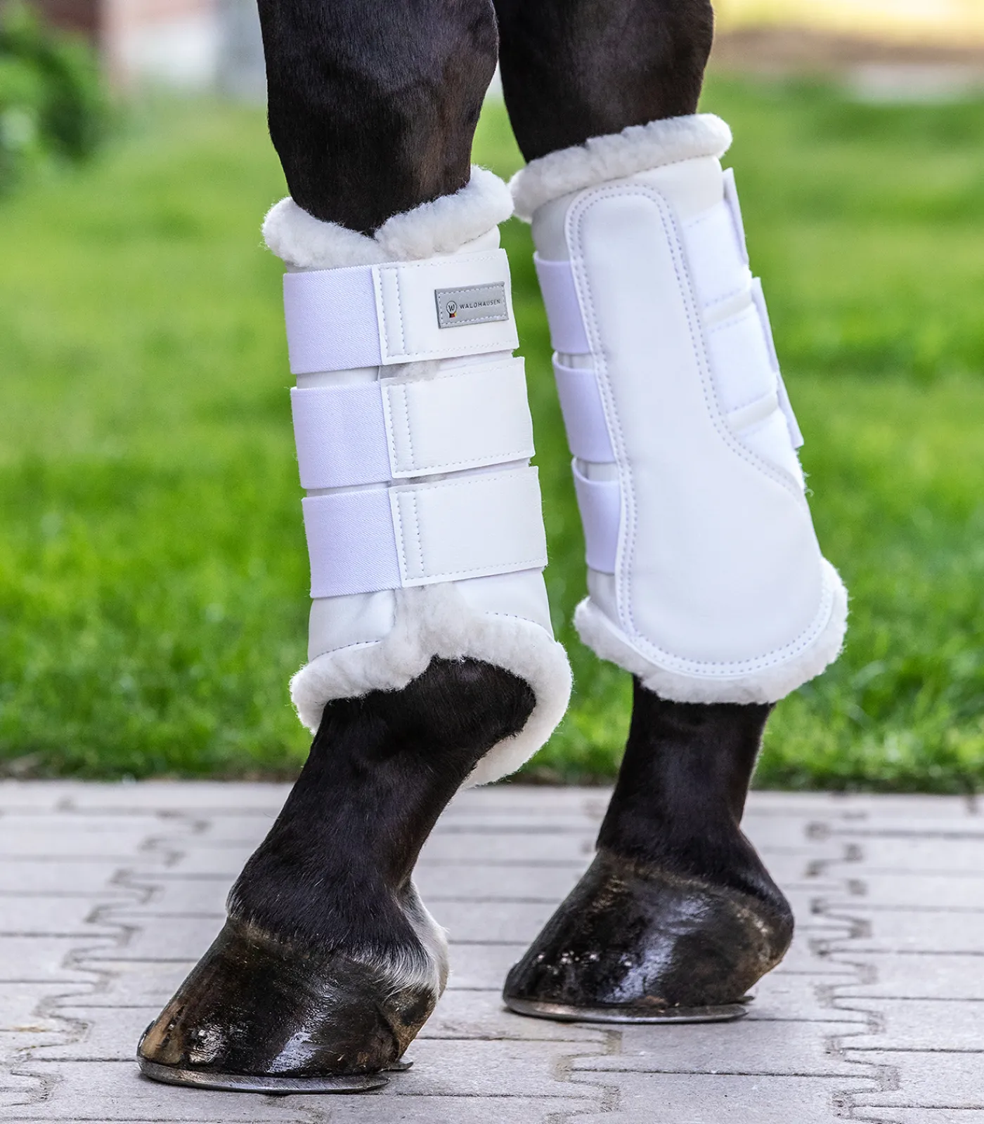 Waldhausen Dressurgamasche Soft Outlet