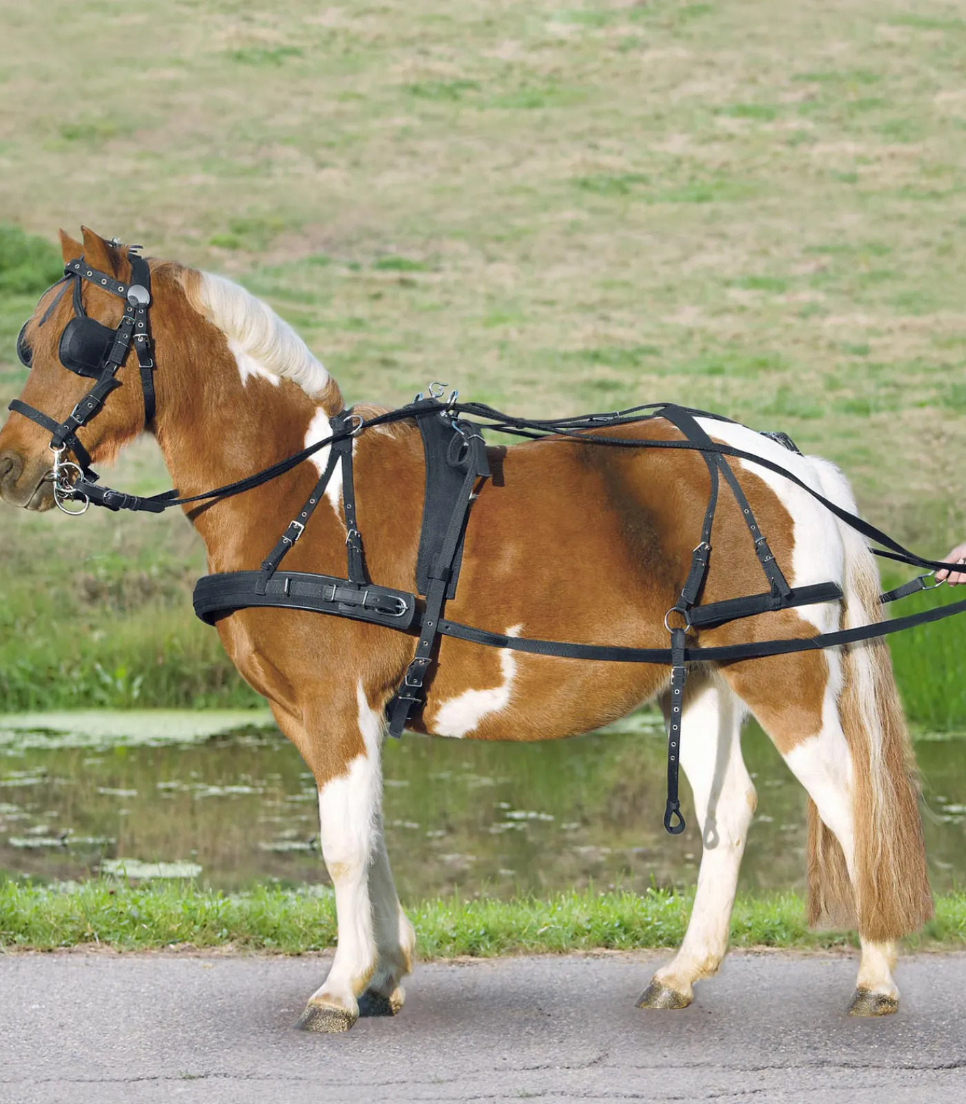 STAR Einspänner Synthetikgeschirr, Pony und Shetty schwarz New