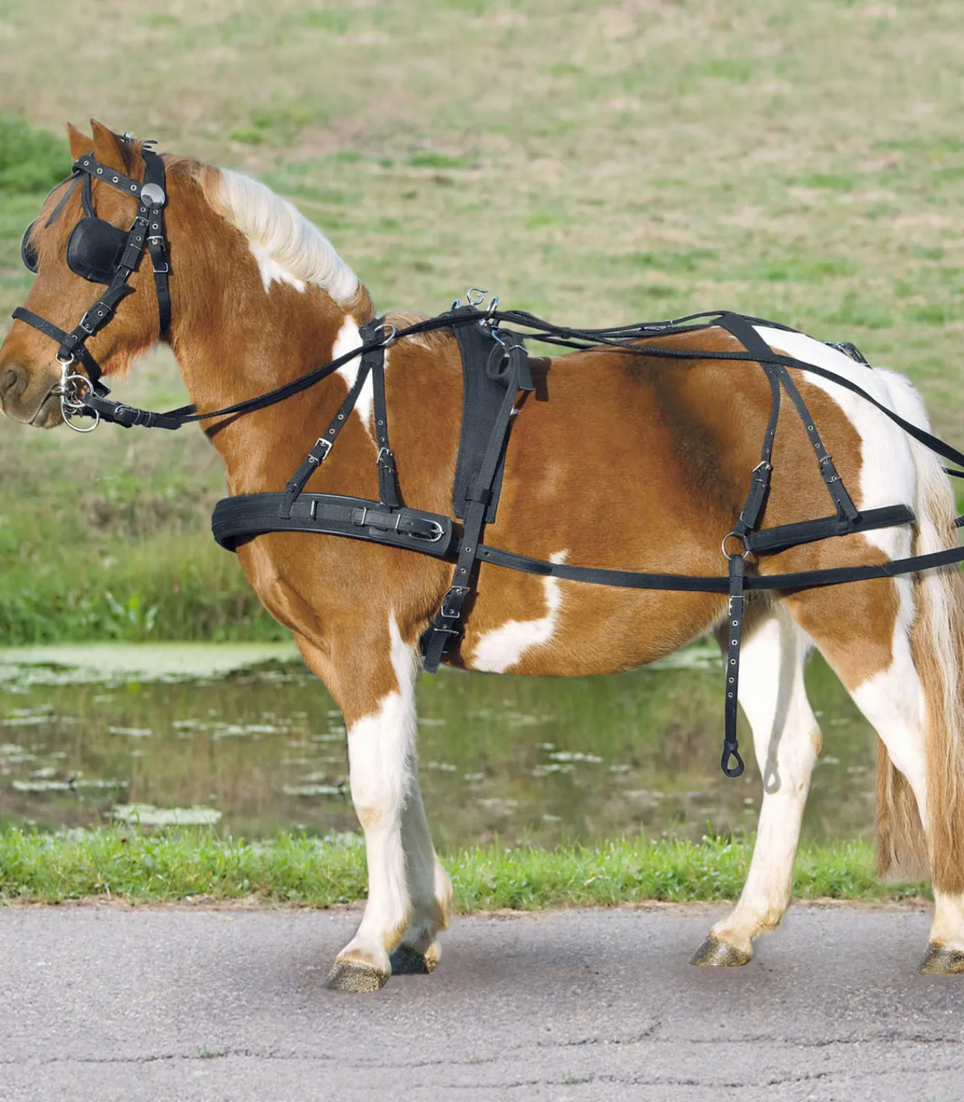 STAR Einspänner Synthetikgeschirr, Pony und Shetty schwarz New