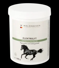 Waldhausen Elektrolyt - Regeneration und Leistungserhalt, 1kg Hot