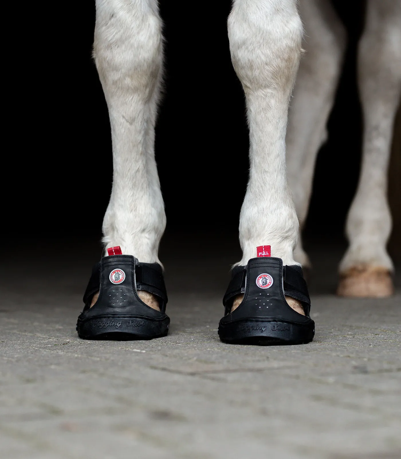 Equine Fusion ® Trekking Shoe schwarz Discount