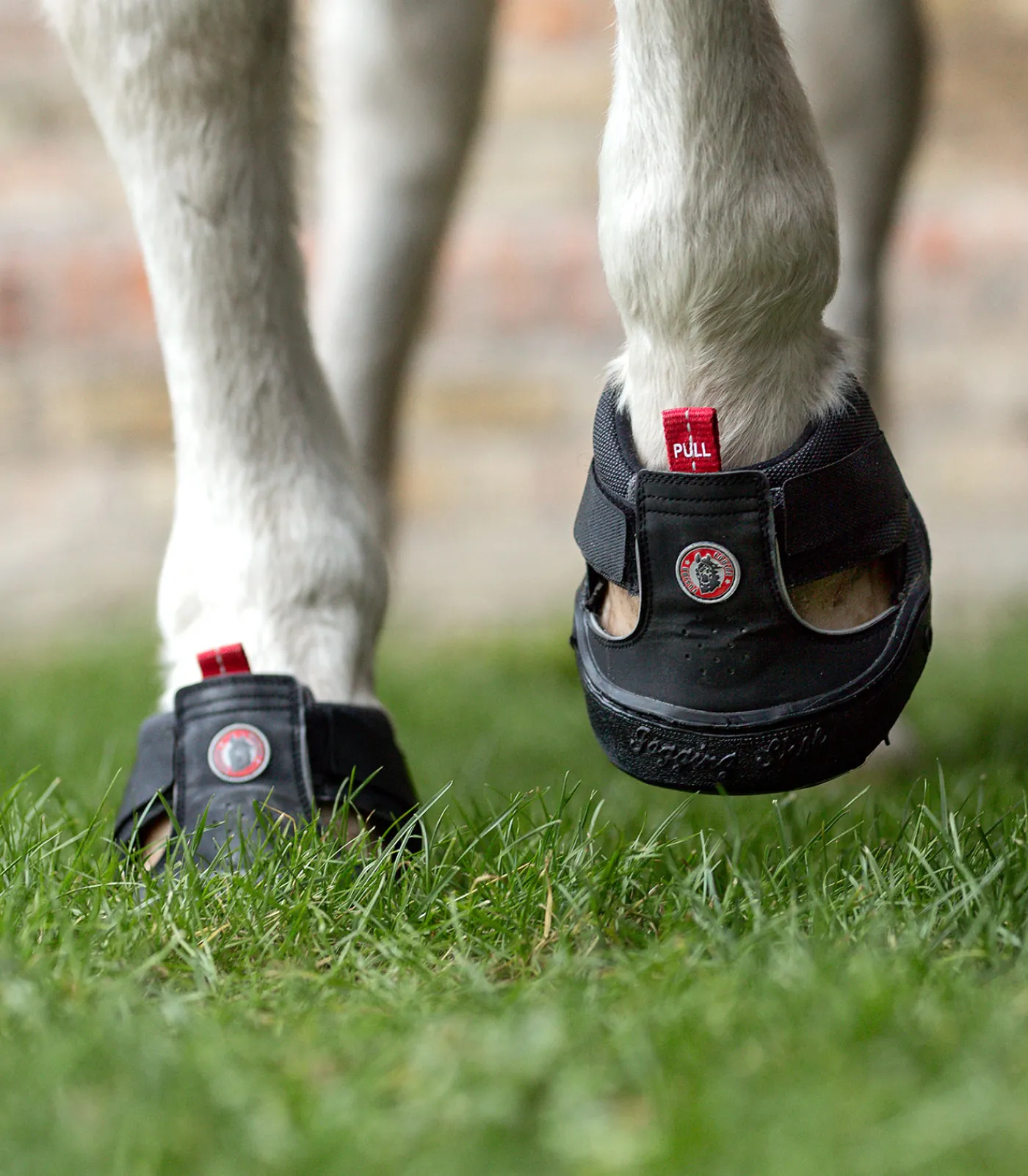 Equine Fusion ® Trekking Shoe schwarz Discount