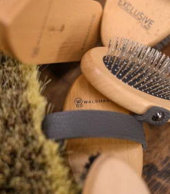 Waldhausen Exclusive Line Kardätsche Clearance