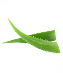 Waldhausen Fell- und Mähnenspray mit Aloe Vera, 2500 ml Discount