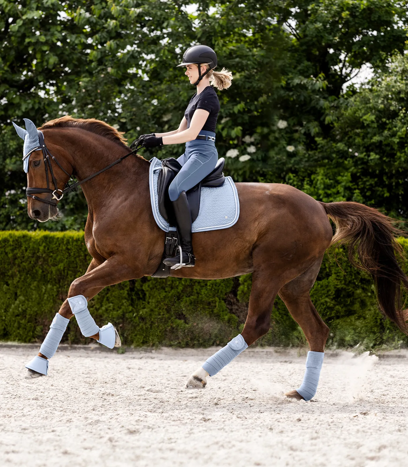 Waldhausen Fleecebandagen Rom, 4er Set Best