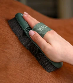 Waldhausen Flex Kardätsche, Rosshaar New