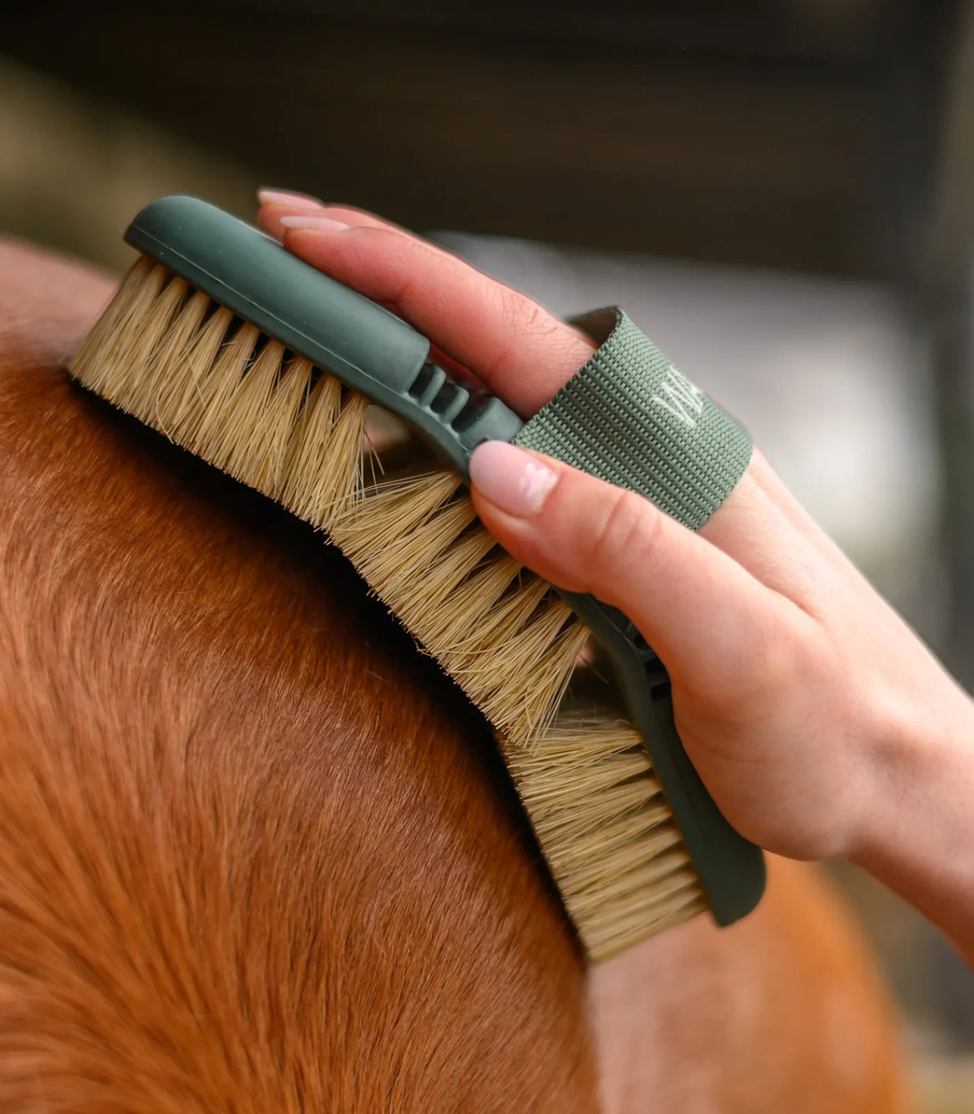 Waldhausen Flex Wurzelbürste