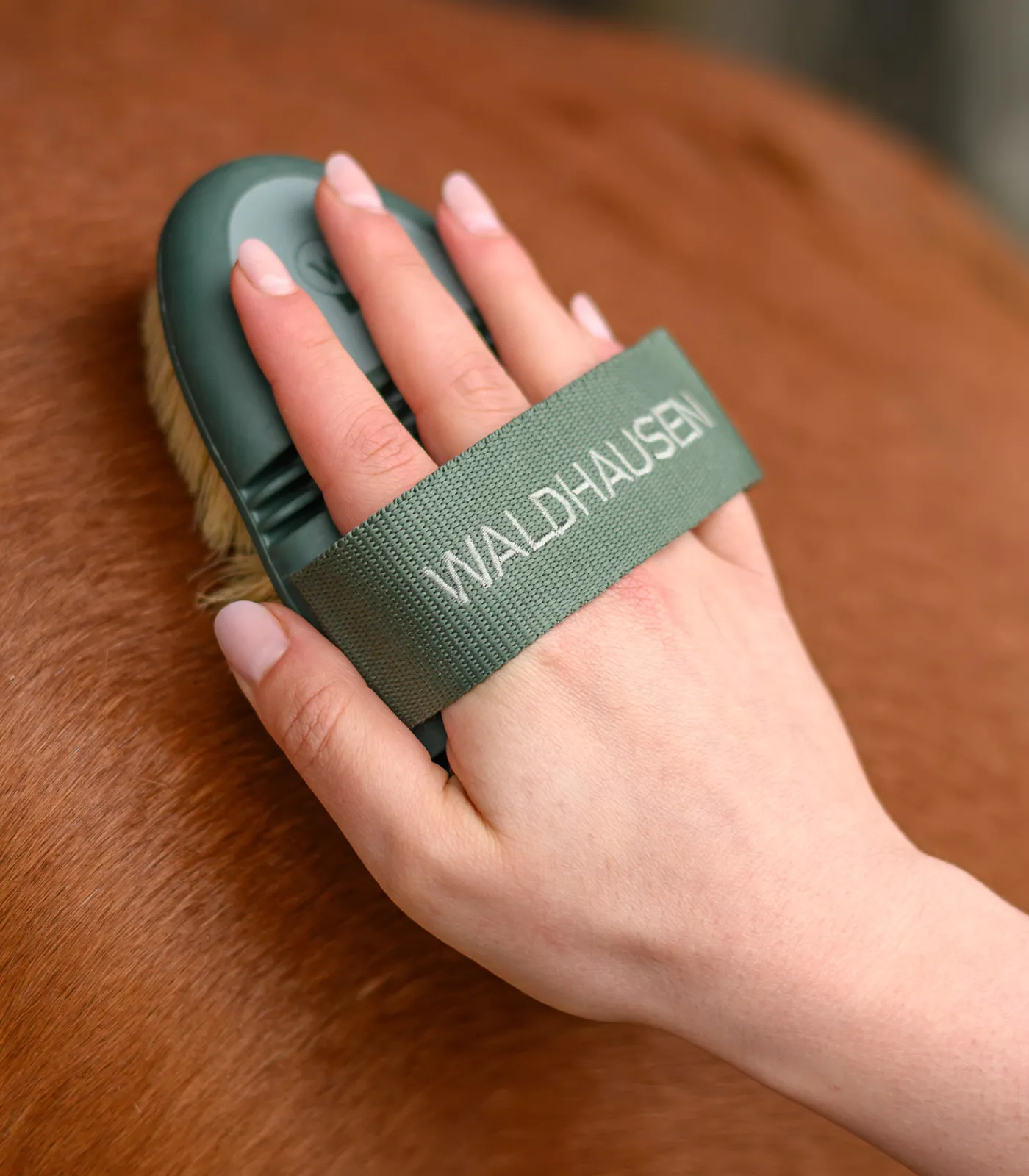 Waldhausen Flex Wurzelbürste
