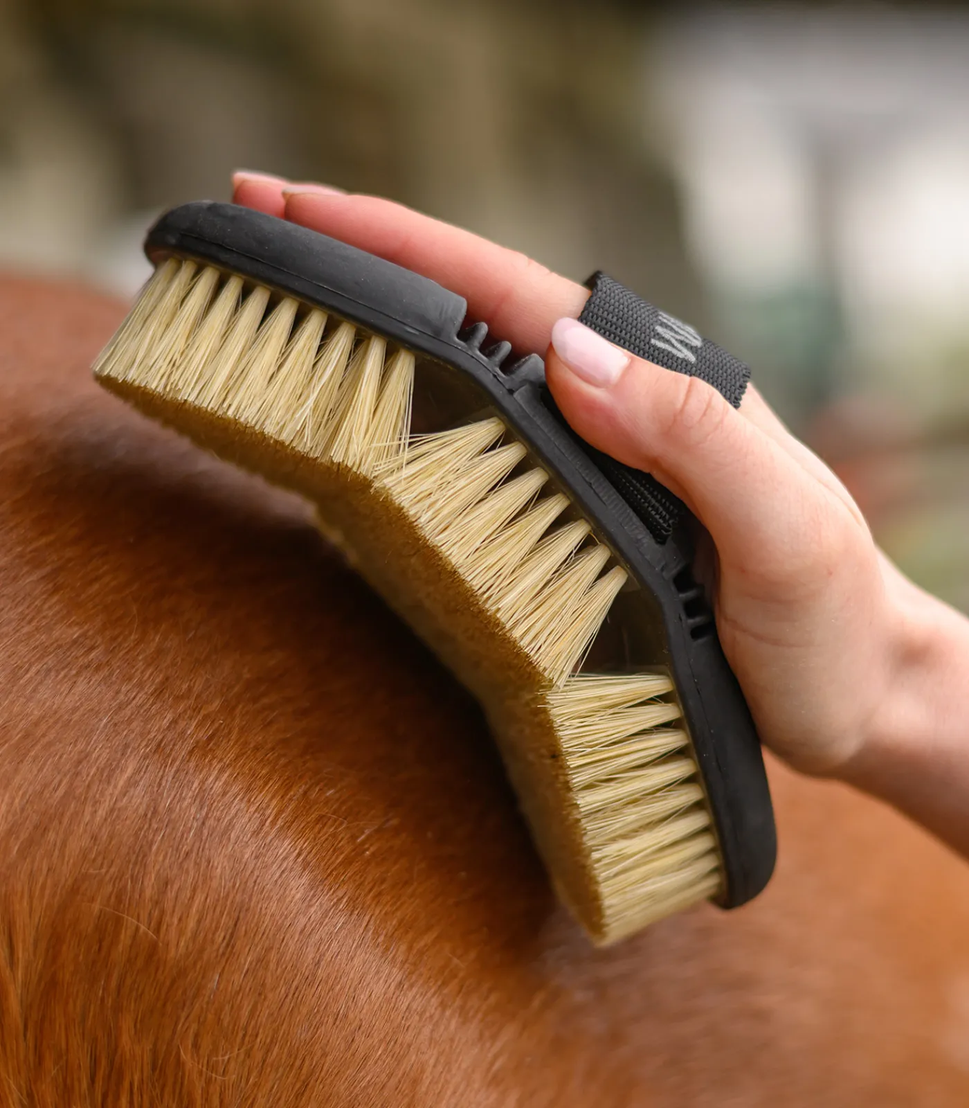 Waldhausen Flex Wurzelbürste