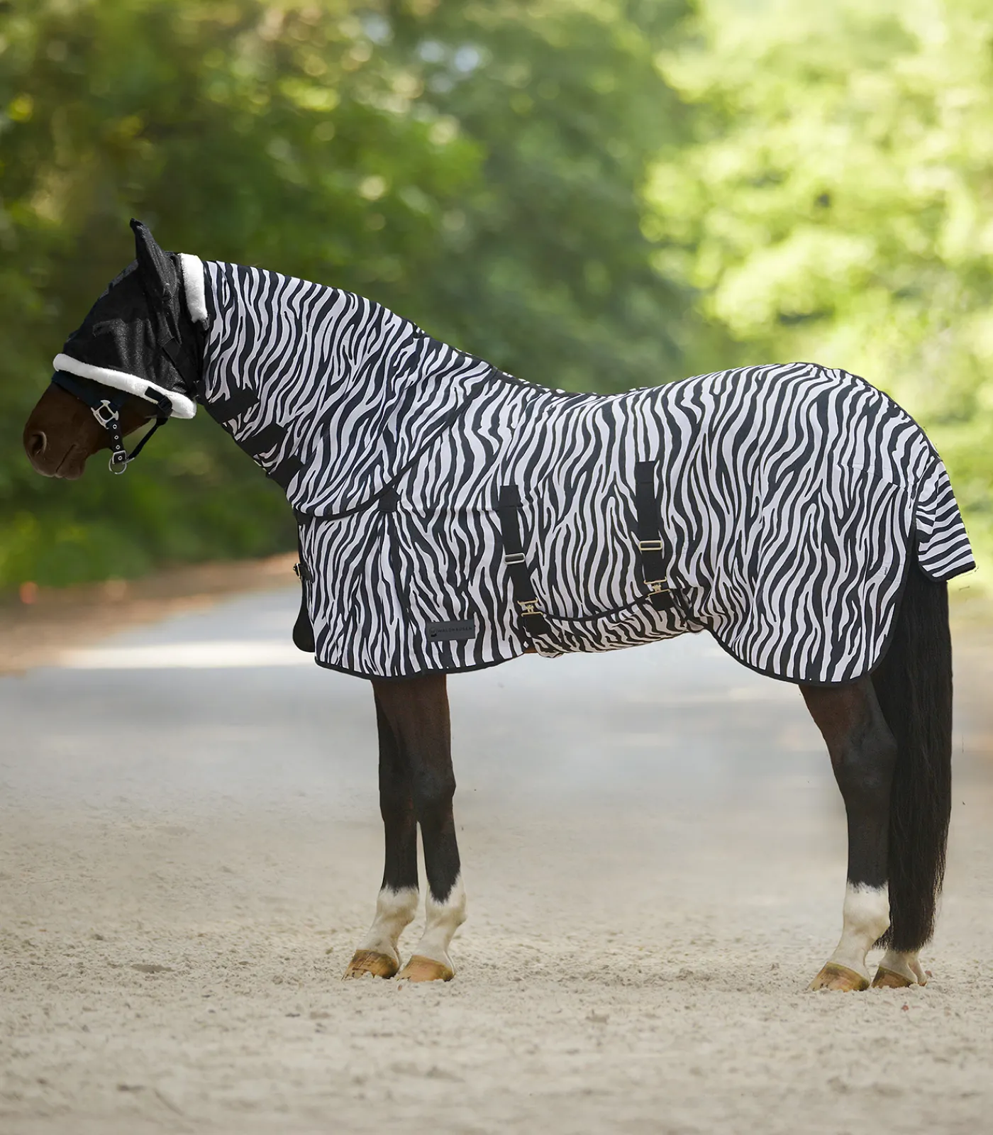 Waldhausen Fliegendecke Zebra schwarz/weiß New