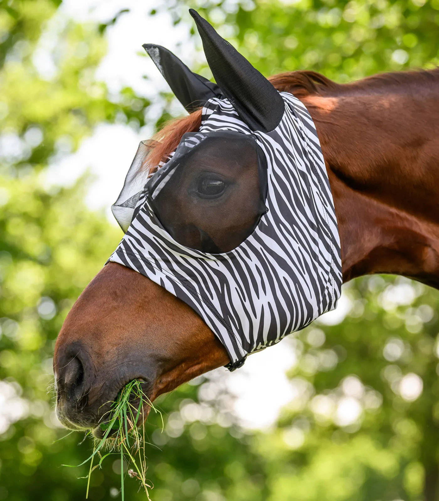 Waldhausen Fliegenmaske Puck Zebra schwarz/weiß Outlet
