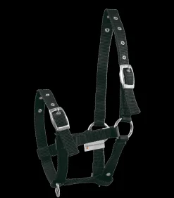 Waldhausen Fohlenhalfter Triple Clearance