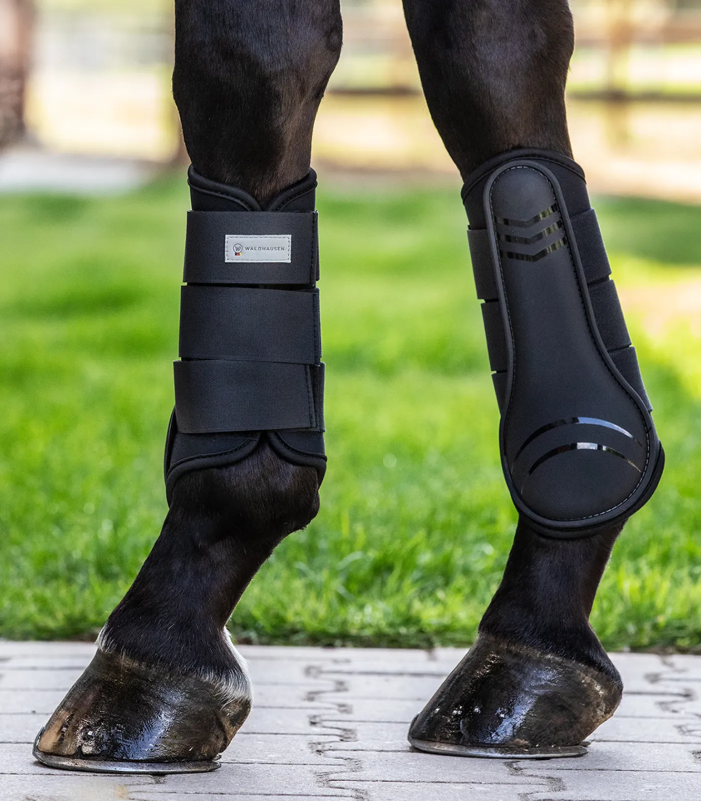 Waldhausen Gamasche Basic Plus schwarz Clearance