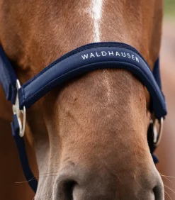 Waldhausen Halfter Athletic Hot