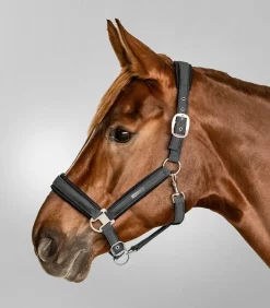 Waldhausen Halfter Breath