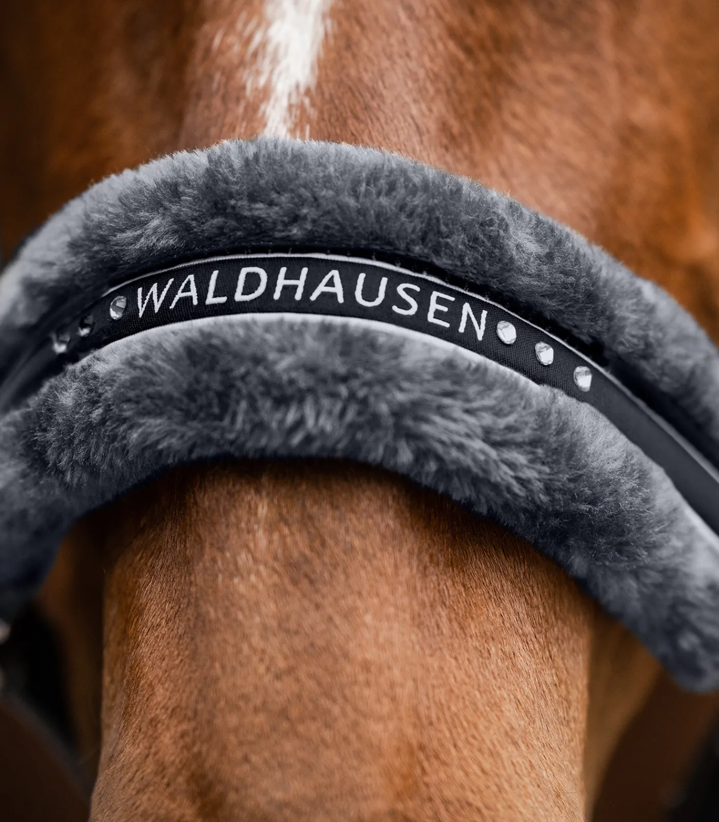 Waldhausen Halfter Elegant Hot