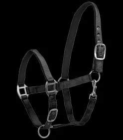 Waldhausen Halfter Satin Best