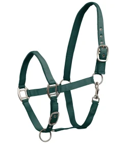 Waldhausen Halfter Satin Best