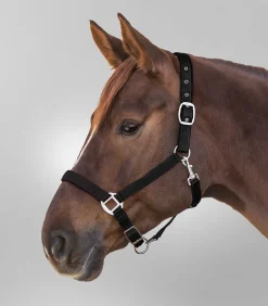 Waldhausen Halfter Satin Best