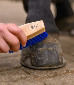 Waldhausen Hufbürste blau Hot