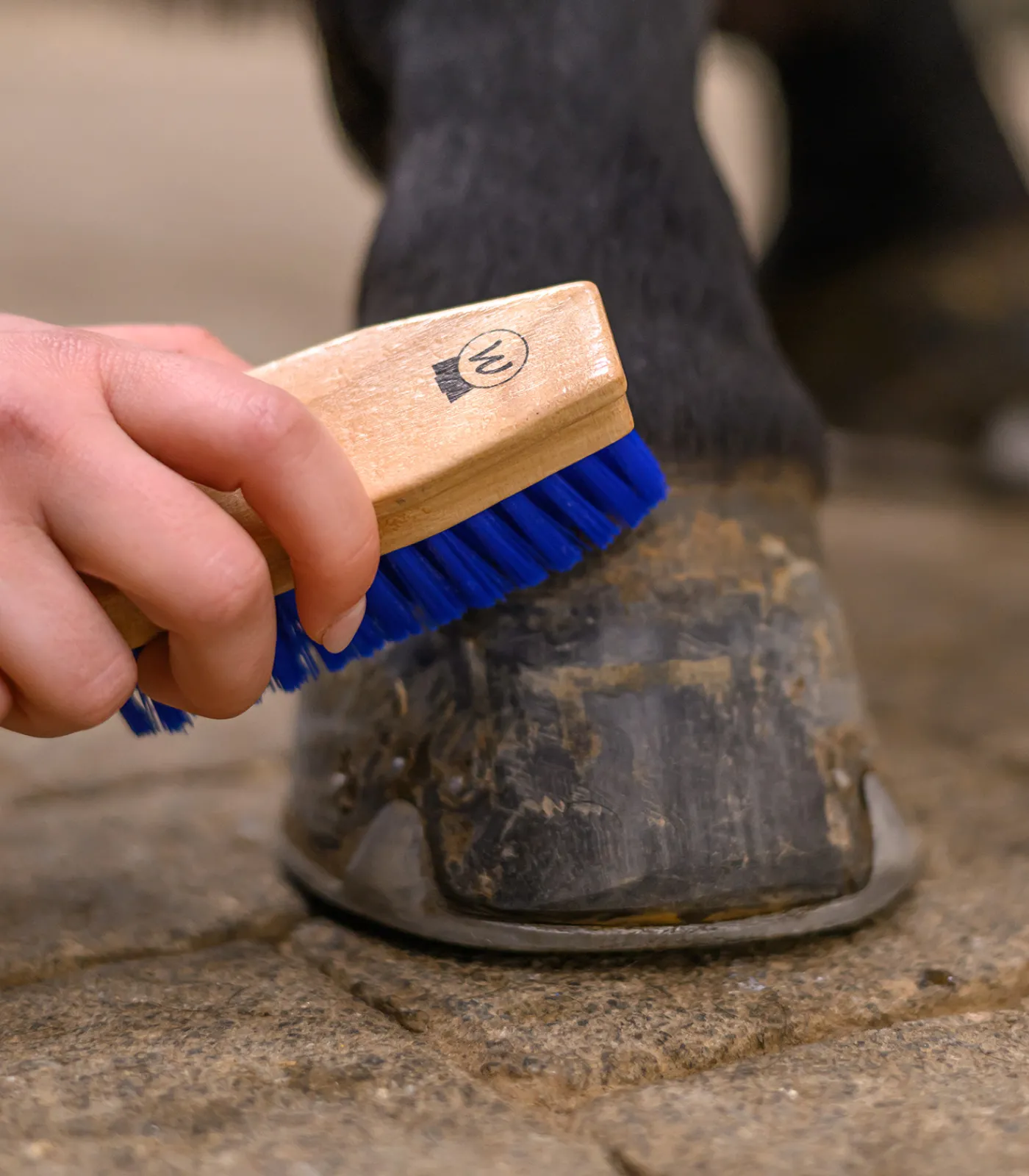 Waldhausen Hufbürste blau Hot