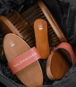 Waldhausen Kardätsche HardWood, borsten natur Hot