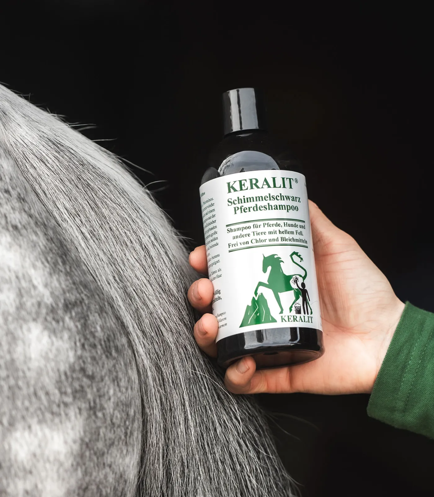 Keralit Schimmelschwarz Shampoo Best