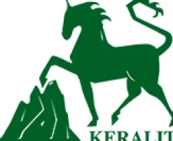 Keralit Schimmelschwarz Shampoo Best