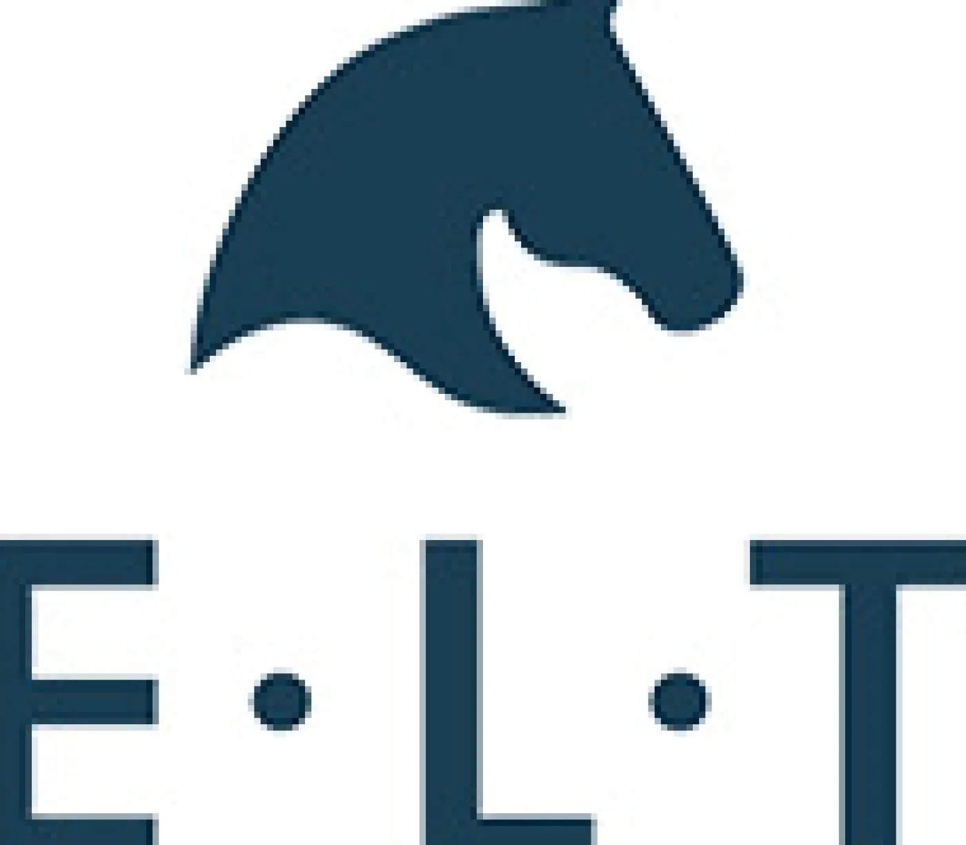 ELT Lederchaps Classic schwarz Outlet