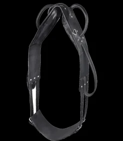 STAR Longier- und Voltigiergurt, Leder schwarz Discount