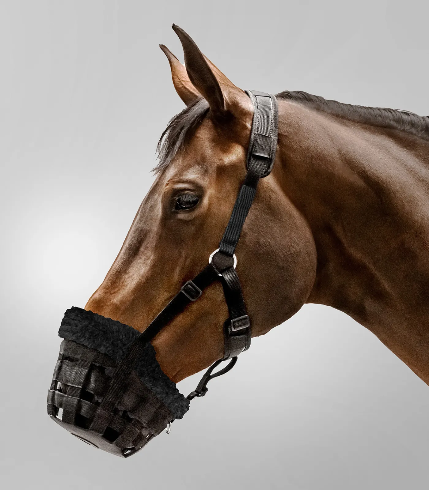 Waldhausen Maulkorb Comfort schwarz Outlet