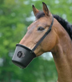 Waldhausen Maulkorb, Pony Sale