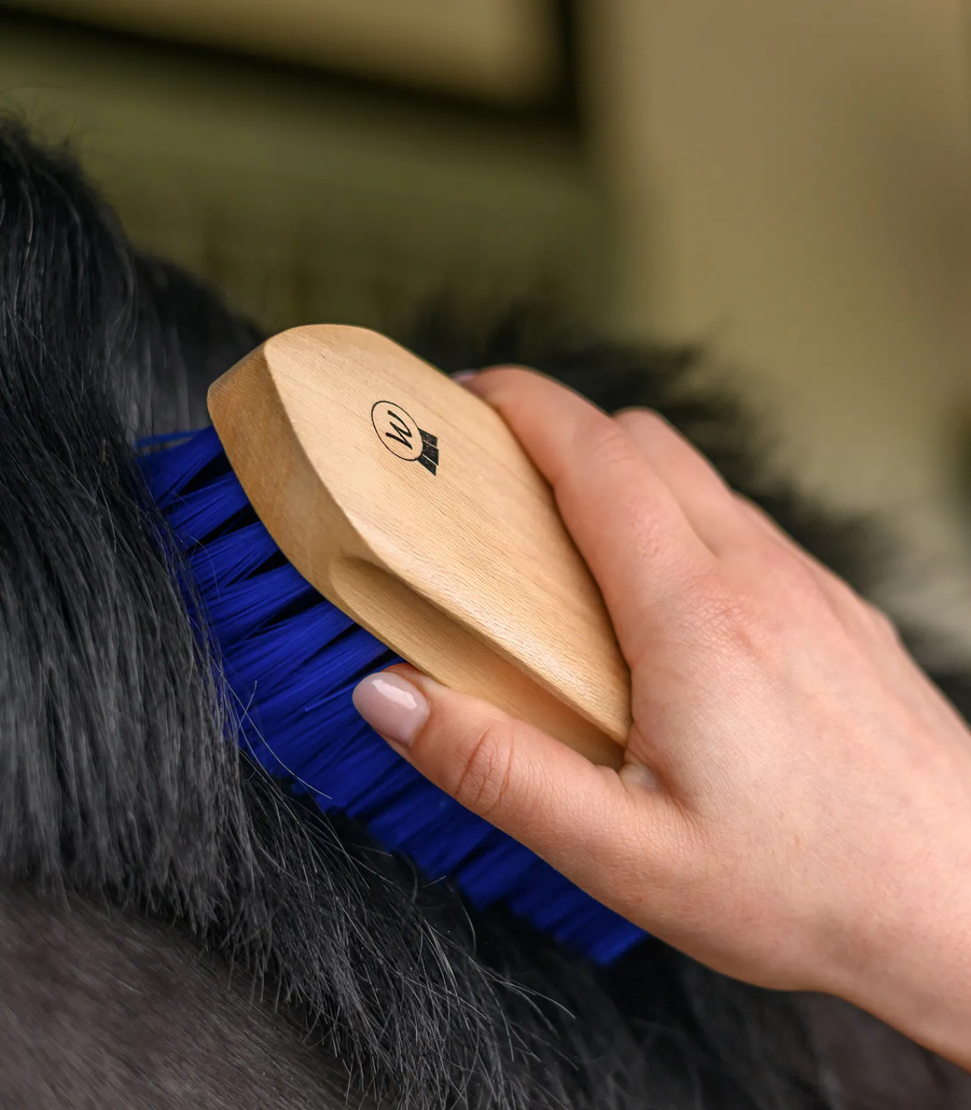 Waldhausen Mähnenbürste blau Discount