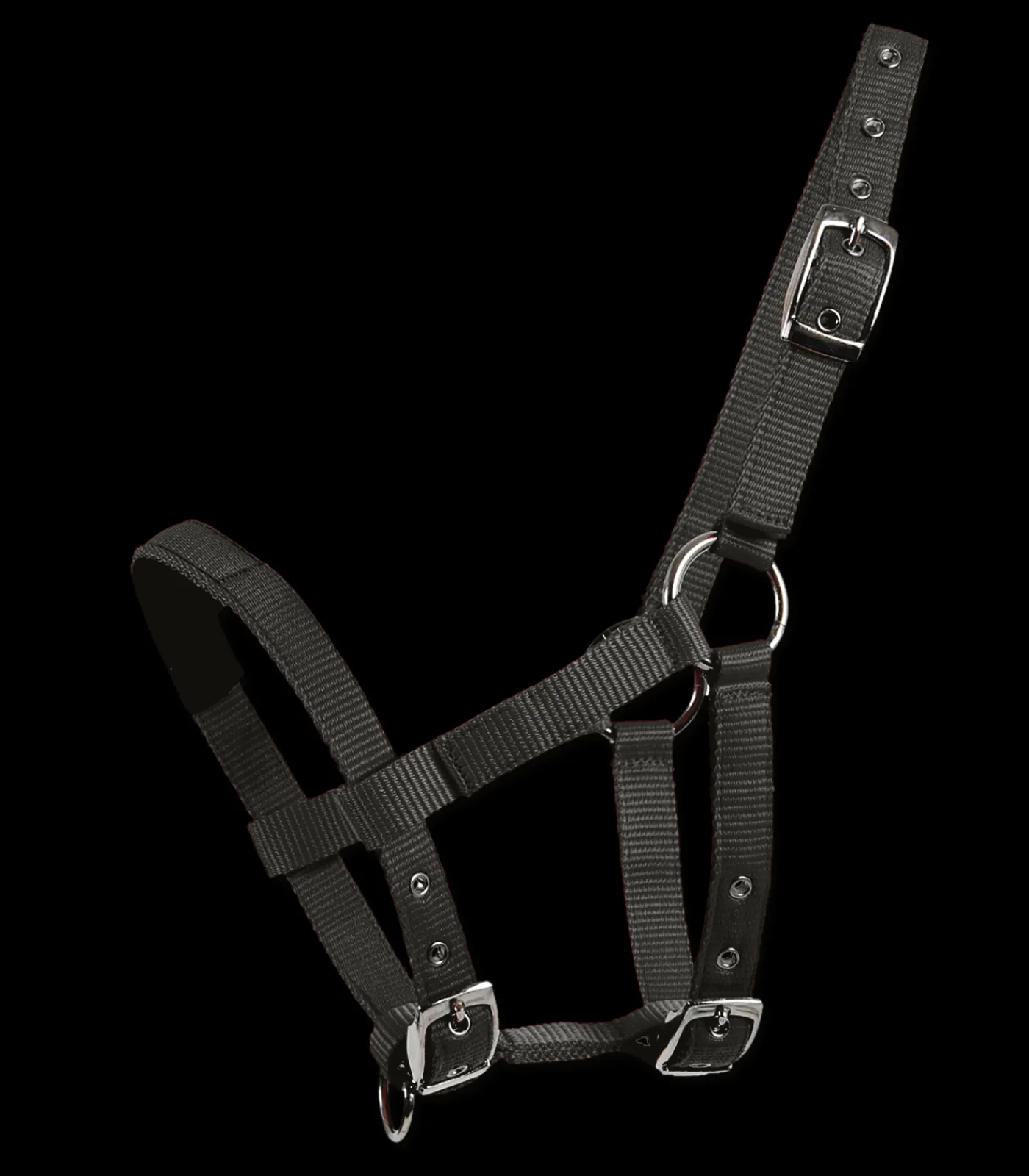 Waldhausen Mini-Shetty Halfter