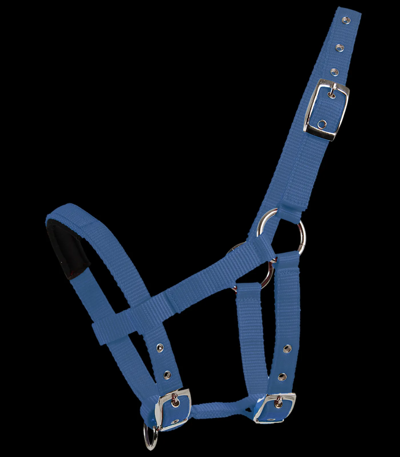 Waldhausen Mini-Shetty Halfter