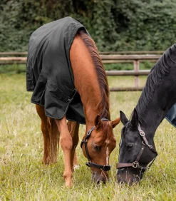 Waldhausen NORDIC Outdoordecke, Fleece Online