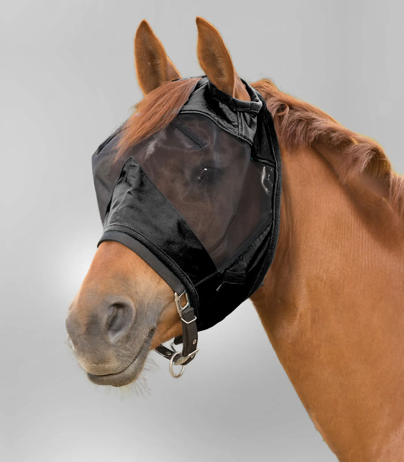 Waldhausen PREMIUM Fliegenmaske ohne Ohrenschutz Sale