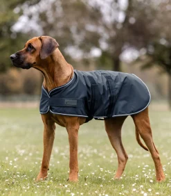Waldhausen Regen-Hundedecke Discount