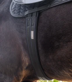 Waldhausen Sattelgurt mit Gel schwarz Best