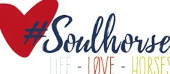 #soulhorse Soulhorse Horsti’s #Ausreitwunder New