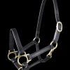 STAR Leder Fohlenhalfter New