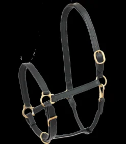 STAR Lederhalfter Robust schwarz Sale