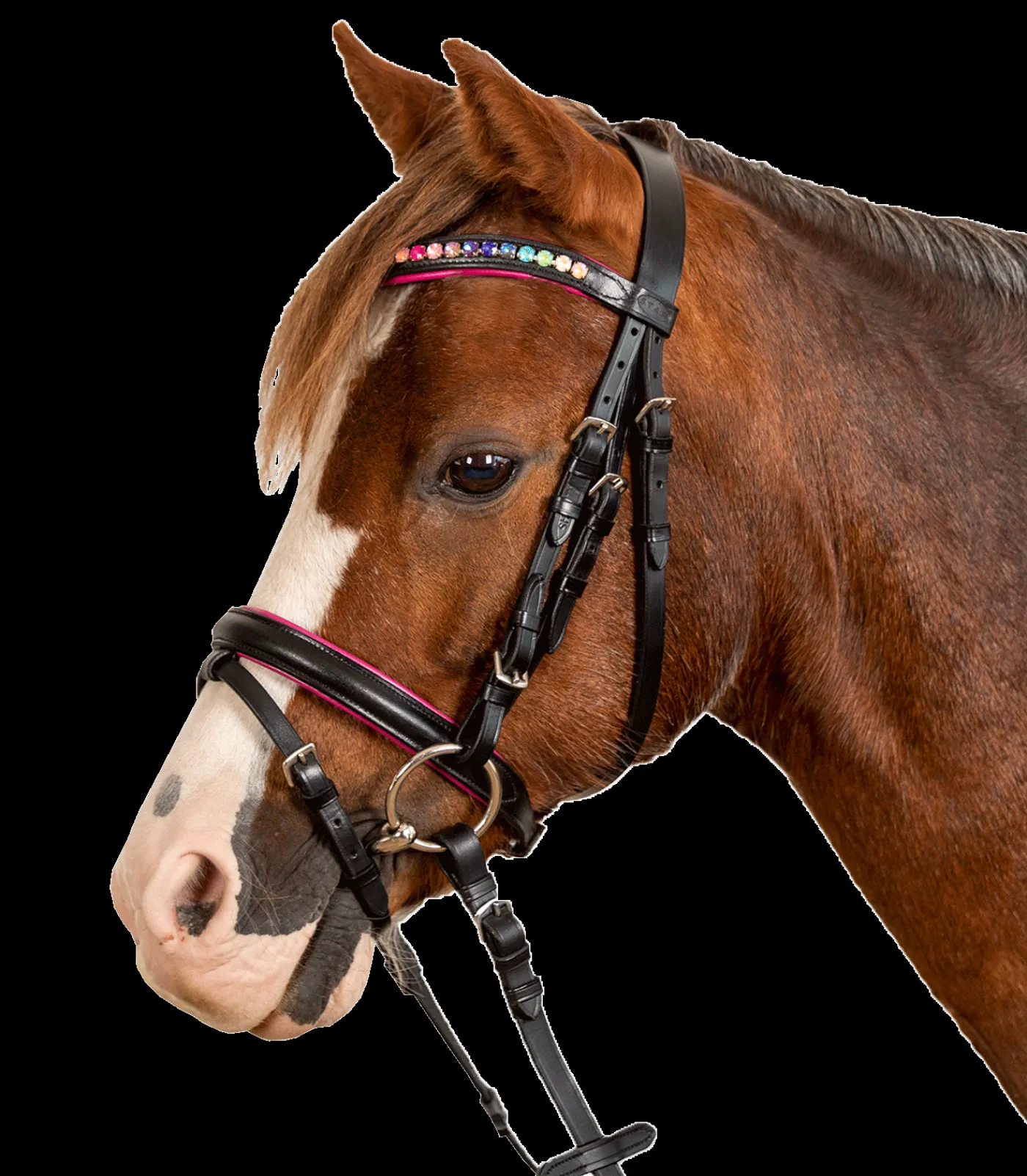 STAR Trensenzaum Pinky schwarz Online