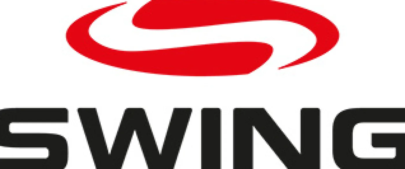 SWING Reithelm H22 shine Online